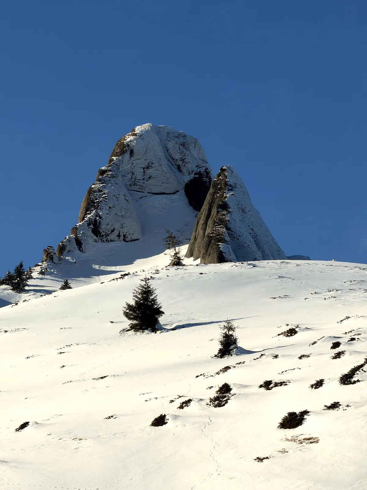 Drumeție de Iarnă pe Vârful Ciucaș: Greu, dar Magic cu 3 Copii